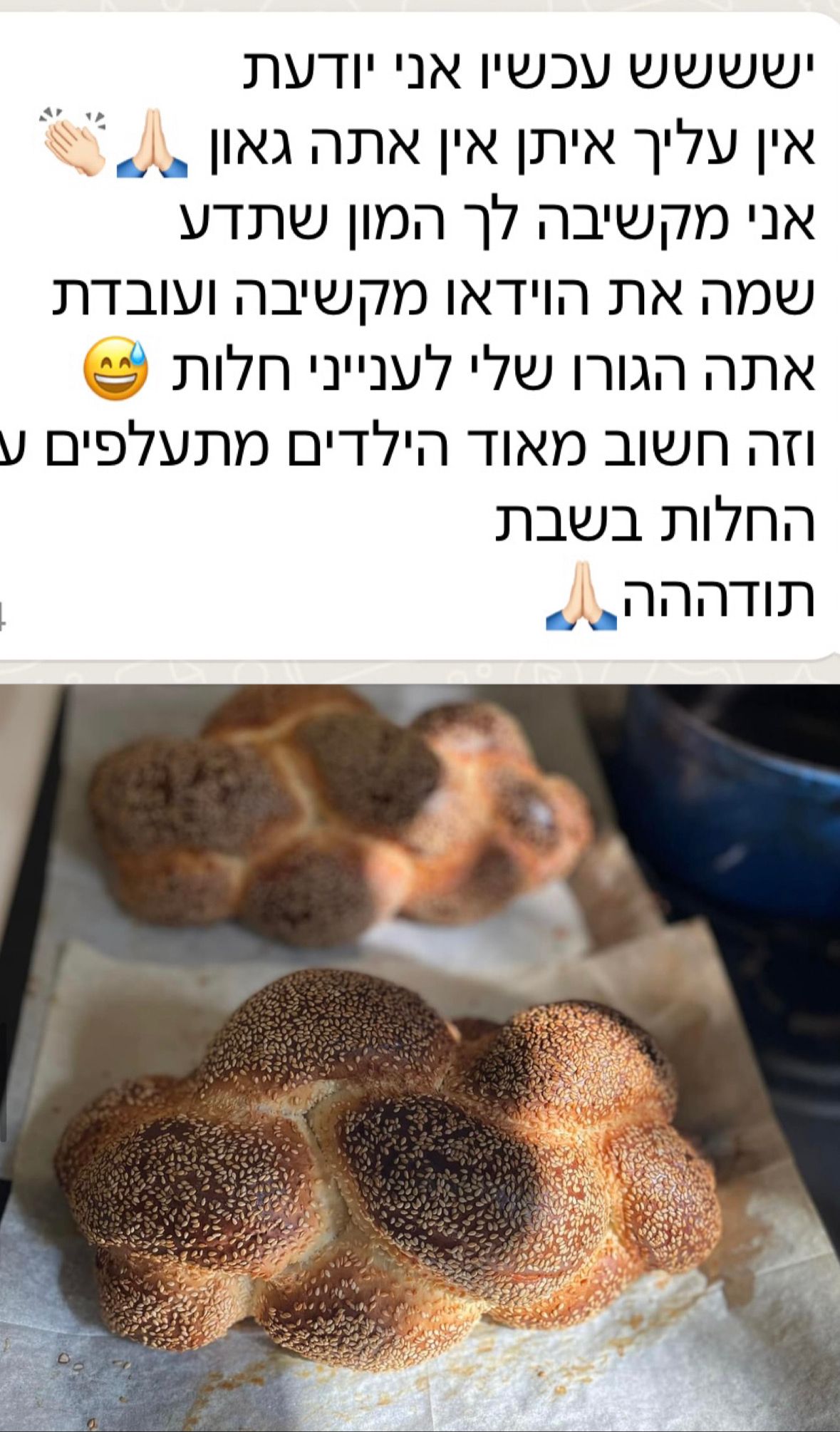 PHOTO-2024-06-17-22-28-21